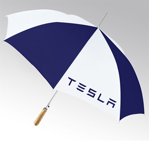 48" Arc Auto Open Umbrella with Wood Handle - Outdoor Sports Survival