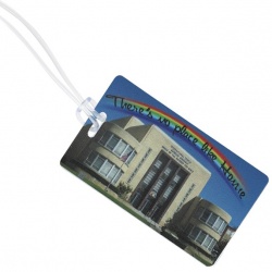 Colorful Slip-In Pocket Luggage Tag