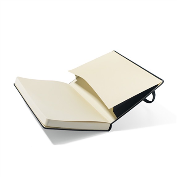 Moleskine Hard Cover Squared Large Notebook - Padfolios, Journals & Jotters