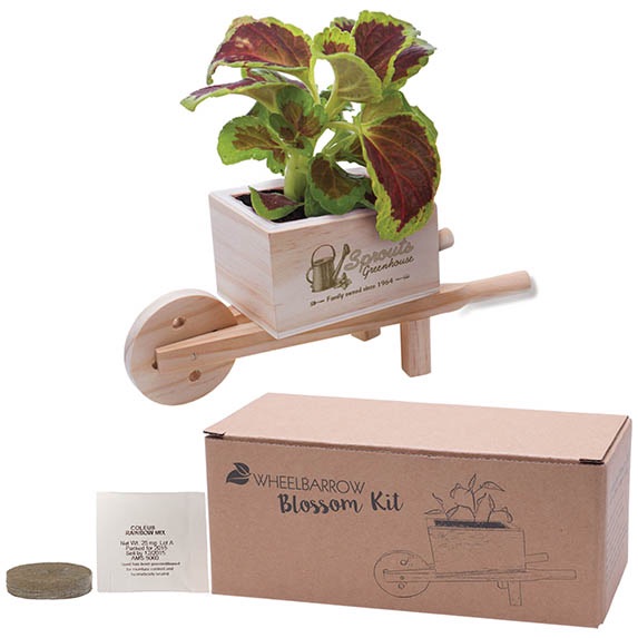 Wooden Wheel Barrow Planter Kit - Kitchen & Home Items