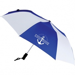 42 Auto Open Windproof Umbrella