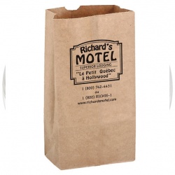 Recycled Kraft Paper Grocery Bag